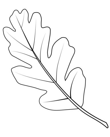 Valley Oak Leaf Coloring Page